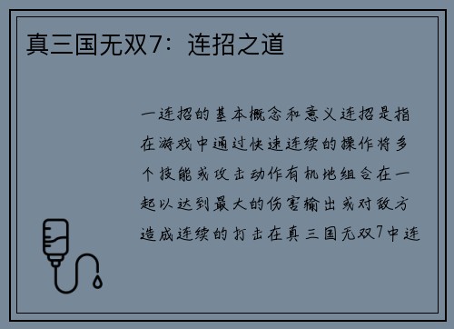 真三国无双7：连招之道