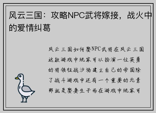 风云三国：攻略NPC武将嫁接，战火中的爱情纠葛